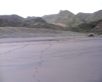 Xena film locations - Bethells Beach - To Helicon and Back